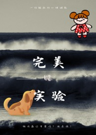 完美实名认证成功案例