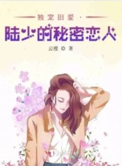 独宠旧爱陆少的秘密恋人云檀